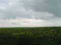 2009_05_15_10_49_41