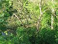 2009_05_15_19_18_20