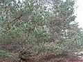 2009_05_16_16_23_09