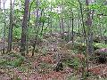 2009_05_16_18_13_10
