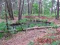 2009_05_16_19_14_10
