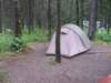 deerandtent_small.jpg