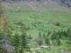 grizzlybears3_small.jpg