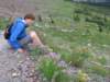 hanwithflowers_small.jpg