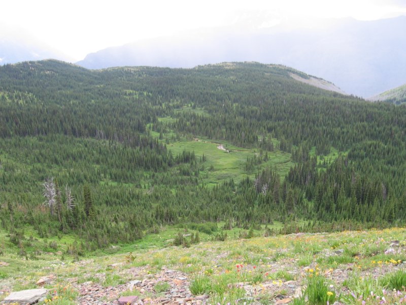 view4.jpg