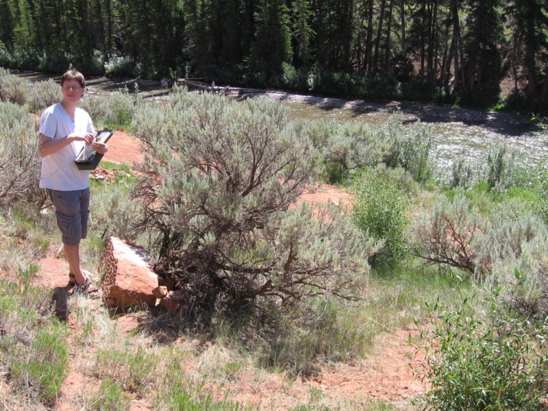 geocache2.jpg