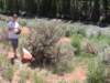 geocache2_small.jpg