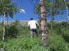 geocache4_small.jpg