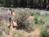 geocache_small.jpg