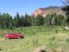 redhillsandgreentreesandaredcar_small.jpg
