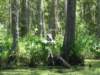 bird2_small.jpg