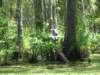 bird_small.jpg