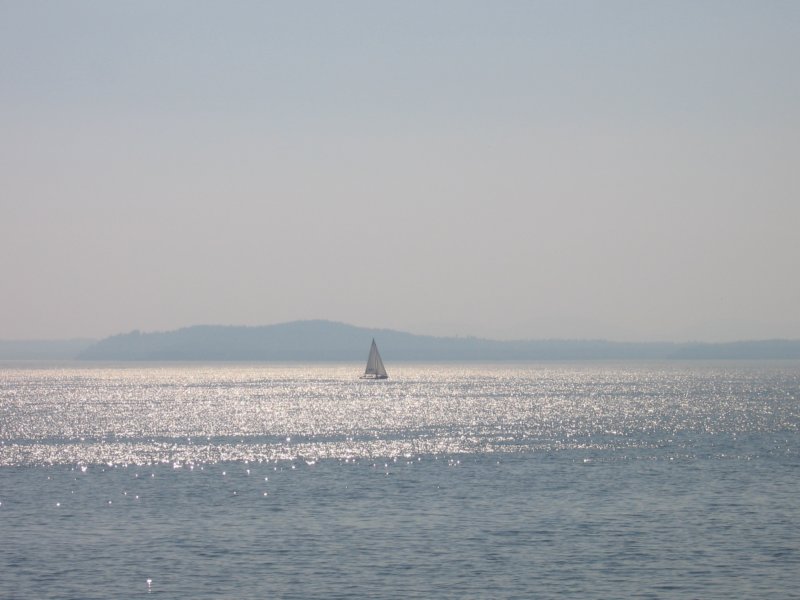 sailboat.jpg
