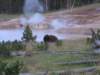 bisonwithgeyser_small.jpg