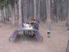 lunch_small.jpg