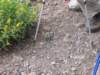 mountwashburn_small.jpg