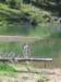 sloughcreekhike7_small.jpg