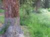 sloughcreekhike8_small.jpg