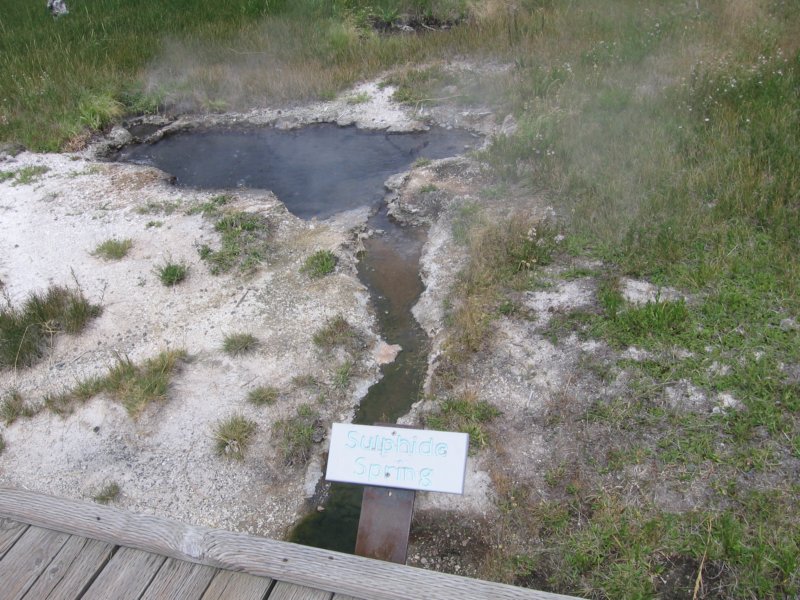 sulphidespring.jpg