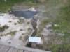 sulphidespring_small.jpg