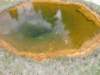 yellowspring_small.jpg