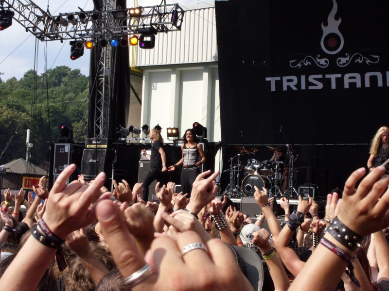 tristania.jpg